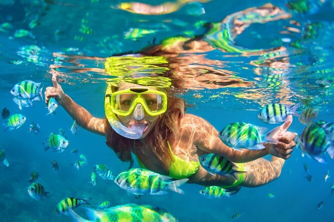 1 Hour Private Snorkeling Activity In Montego Bay - Private Ride, Even If the Water Area Is Shared
