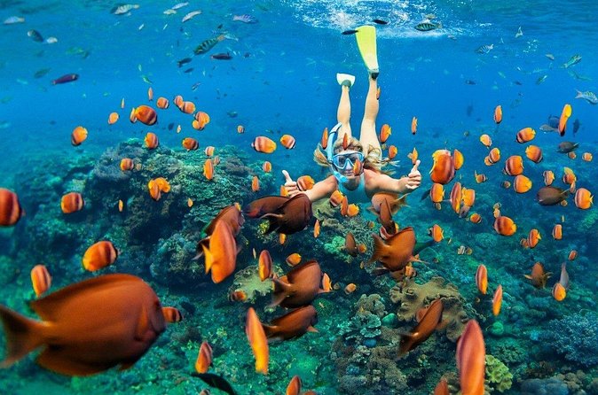 1 Hour Private Snorkeling Activity In Montego Bay - Included Perks That Actually Save You Money