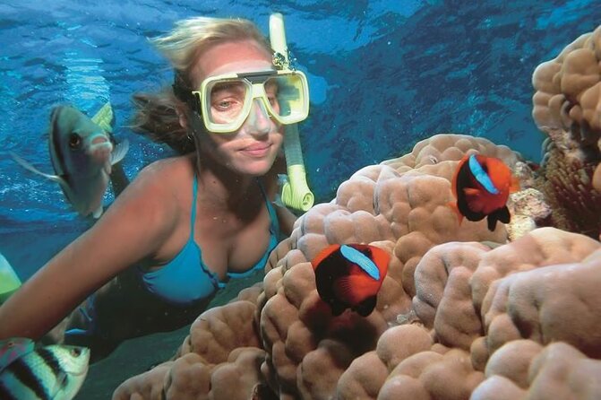 1 Hour Private Snorkeling Activity In Montego Bay - Price and Value: Is $110 Per Person Worth It?