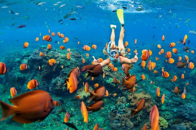 1 Hour Private Snorkeling Activity In Montego Bay - Who This Tour Fits Best (And Who Might Want a Different Plan)