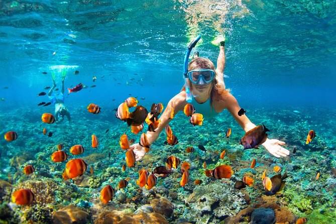 1 Hour Private Snorkeling Activity In Montego Bay - Timing, Weather, and Why That One-Hour Window Matters