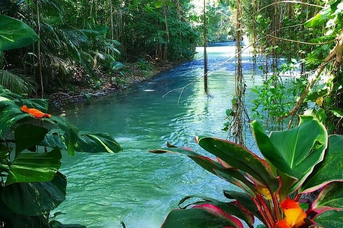 #1 Martha brea bamboo rafting - Hotel Pickup, Air-Conditioned Comfort, and Private Transfer