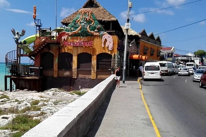 3-Hour Private Tour in the Highlights of Montego Bay - Who This Tour Fits Best