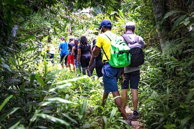 4-Hours Bike, Hike & Waterfall Tour in Blue Mountain with Lunch and Pick Up - Key highlights at a glance