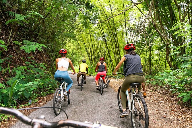 4-Hours Bike, Hike & Waterfall Tour in Blue Mountain with Lunch and Pick Up - The waterfall finish: a secluded end point worth staying for