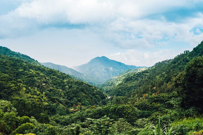 4-Hours Bike, Hike & Waterfall Tour in Blue Mountain with Lunch and Pick Up - Price and value: what $195.84 covers and why it matters