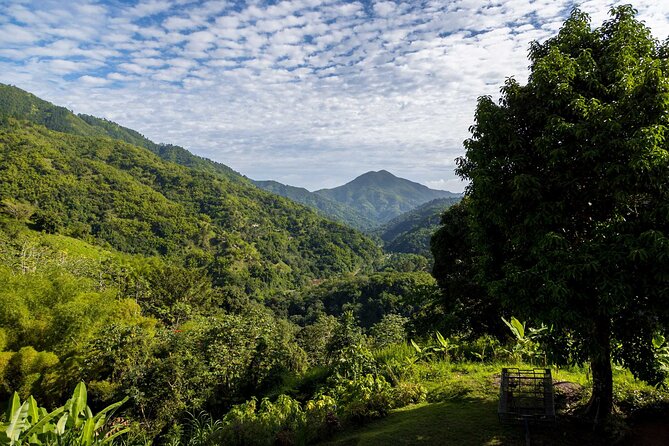 4-Hours Bike, Hike & Waterfall Tour in Blue Mountain with Lunch and Pick Up - Who this tour fits best, and who should skip it