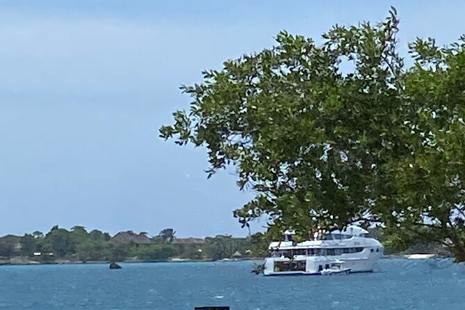 4 Hours Party Boat Catamaran Cruise in Negril - Price and logistics: who gets the best deal