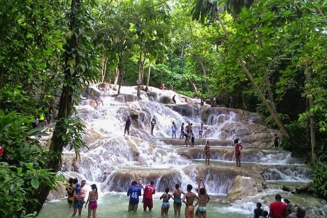 6. Bob Marley 9miles/Dunn's River Private Tour(420 Friendly)final resting place - Who should book this private tour, and who might not love it
