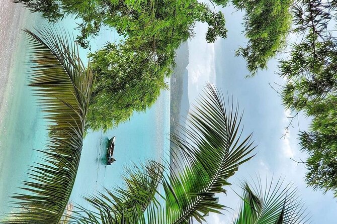 A "Private" Airport Transfer to Grand Palladium Resort - Why This Private Transfer Works Better Than Taxi Chaos