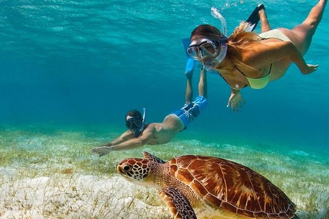 Adventurous-Snorkeling With Sightseeing of Montego Bay - Key highlights