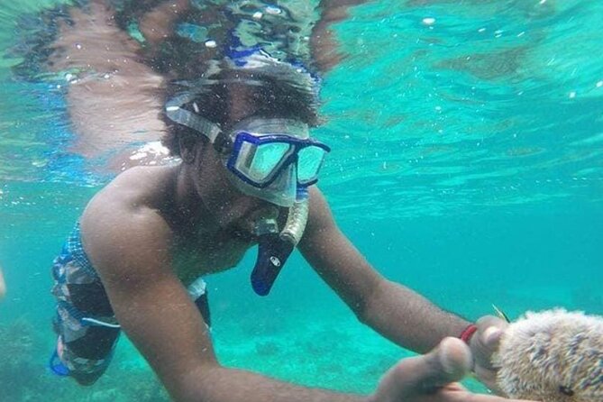 Adventurous-Snorkeling With Sightseeing of Montego Bay - What this Montego Bay snorkeling tour is really like