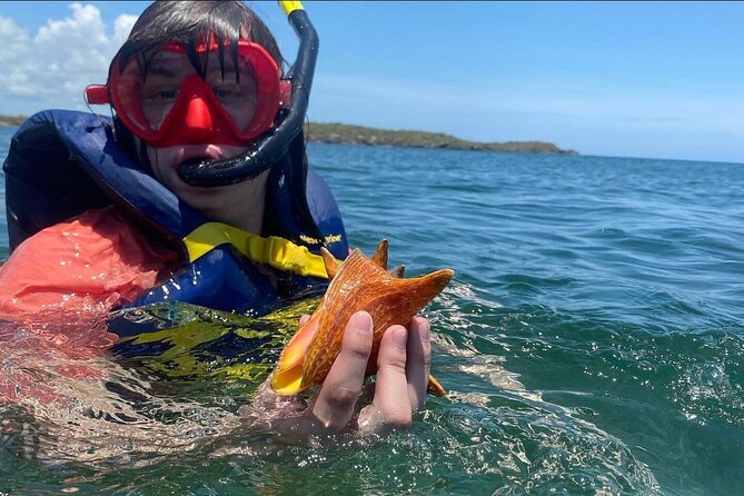 Adventurous-Snorkeling With Sightseeing of Montego Bay - How private actually feels on the ground