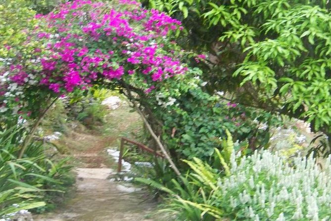 Ahhh Ras Natango Gallery and Garden Private Transfer - Best Fit: Who Should Book This Tour?