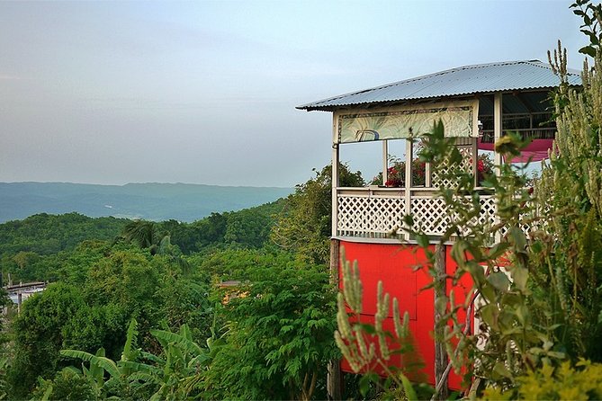 Ahhh Ras Natango Gallery and Garden Private Transfer - Practical Tips So You Get More From the Experience
