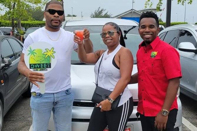 Airport Transfer Montego Bay: Riu Montego / Reggae / Palace - Who This Transfer Fits Best