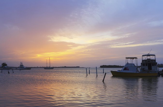 An Evening on the Lagoon: Martha Rafting, Luminous Lagoon and Falmouth Highlight - What to bring, wear, and expect physically