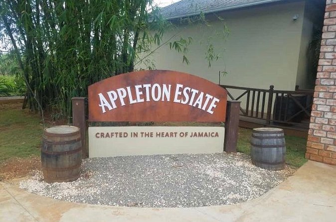 Appleton Estate Rum Private Tour - The free bottle bonus: how to make it worth it