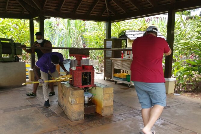 Appleton Estate Rum Tour and Pelican Bar Customize Tour - Appleton Estate: rum history you can see, not just read