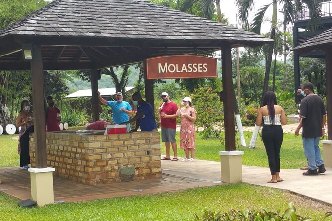 Appleton Estate Rum Tour and Pelican Bar Customize Tour - A realistic timeline: how the day flows