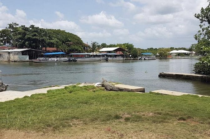 Appleton Estate Rum, YS Falls, Black River Safari / Floyd's Pelican Bar Tour - Floyd’s Pelican Bar: a quarter mile out, a very odd idea that works