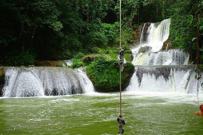 Appleton Estate, Ys Falls and Black River Safari Private Tour - Key takeaways before you go
