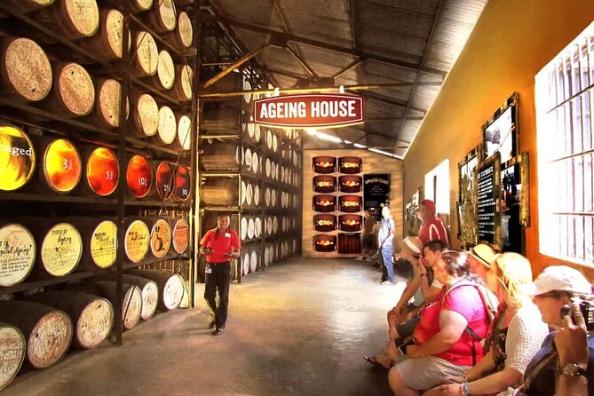 Appleton Estate, Ys Falls and Black River Safari Private Tour - Price and Value: What You Really Get for $242.06 Per Person