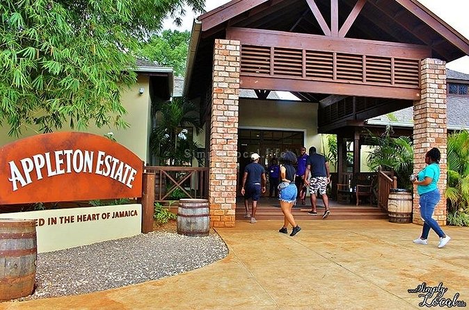 Appleton Estate, Ys Falls and Black River Safari Private Tour - Transportation and Comfort: The Air-Conditioned Part You Will Thank Yourself For