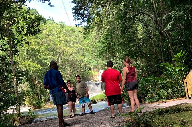 Appleton estate,YS Falls,Black River Safari,Pelican Bar(any 3of4) - Black River Safari by Boat: Wildlife Time on Jamaica’s Longest River