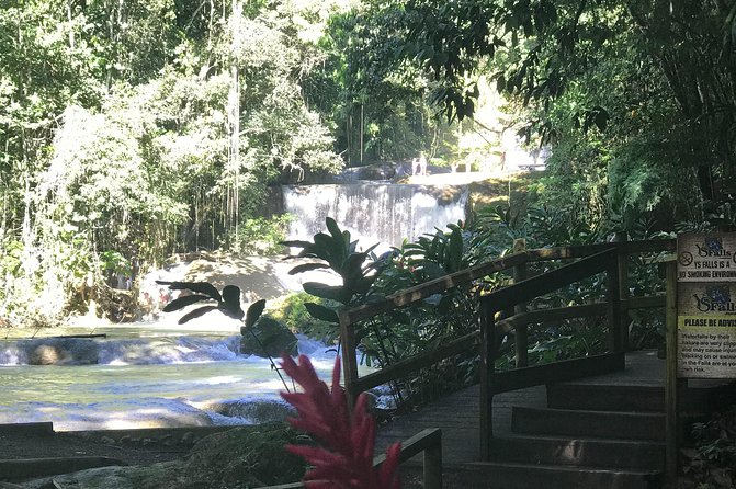 Appleton Rum Factory, Ys Falls, Black River Safari, Floyd’s Pelican Bar - Comfort, privacy, and the role of your driver