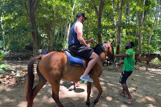 ATV, Bamboo Rafting, Horseback Ride From Montego Bay- Private - Price and value: is $355 per person a fair deal?