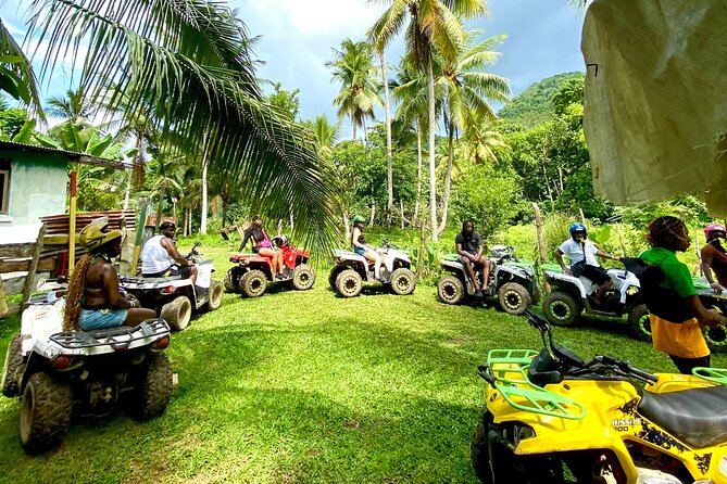 ATV Jungle Safari Tour from Montego Bay - Key highlights before you go