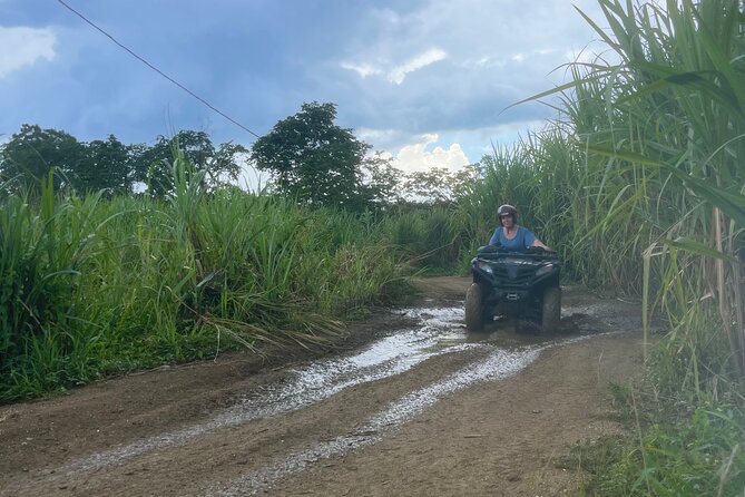 ATV, Zipline, Horseback, Bamboo Rafting and Rick’s Cafe - Bamboo Rafting: A Slower Moment on a Serene River