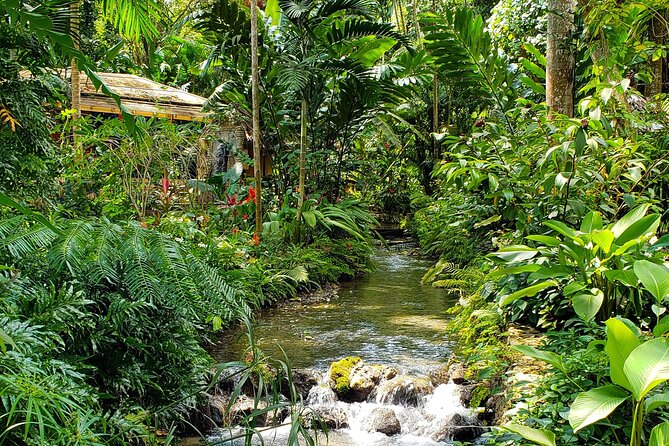 Bamboo rafting and Horseback ridding - White River bamboo rafting: calm water, a swim window, and photo chances