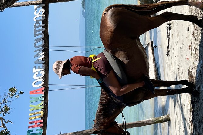 Bamboo Rafting & Horseback -dunns river Transportation Included - Portland Horseback Riding: Easy Trails and Real Countryside