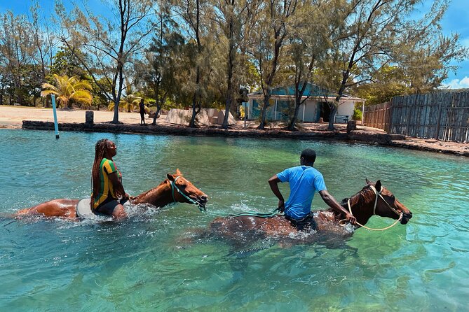 Bamboo Rafting & Horseback Ride n Swim Guided Tour in Montego Bay - Scotchies Montego Bay: a casual stop for jerk flavors