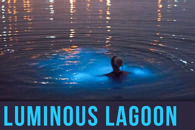 Bioluminescence Lagoon Tour from Montego Bay with Pick Up - The Boat Cruise and Optional Swim: How to Maximize the Glowing Water