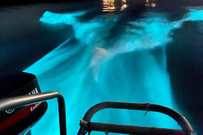 Bioluminescence Lagoon Tour from Montego Bay with Pick Up - Price and Value: Is $105 Worth It?