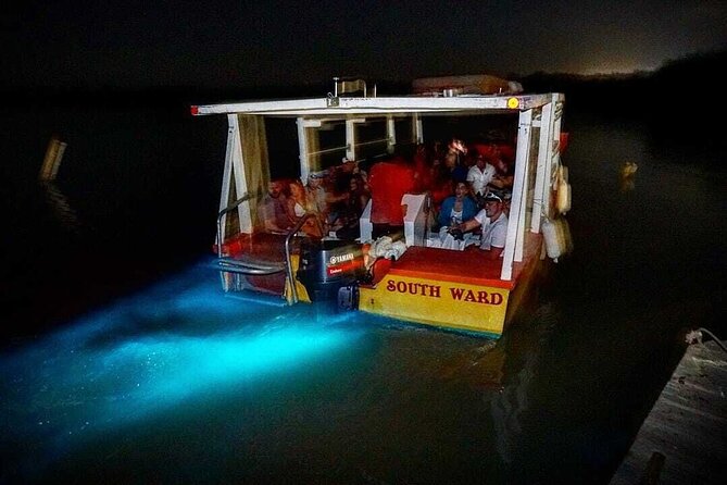 Bioluminescence Lagoon Tour from Montego Bay with Pick Up - Dusk Timing, Welcome Cocktail, and Why the Lagoon Likes “Right Now”