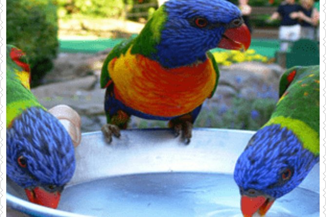 Bird Sanctuary and animal farm Day Tour - Key Highlights You Can Plan Around