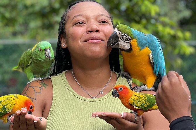 Bird Sanctuary and animal farm Day Tour - The birds you’ll meet, and how to enjoy them without stress