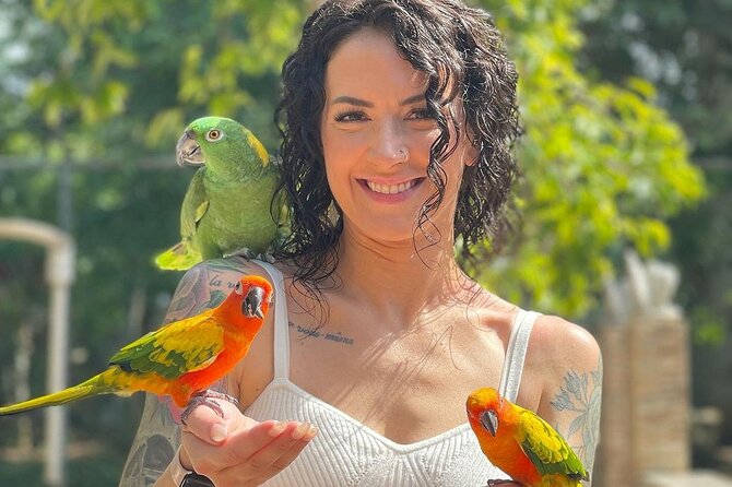 Bird Sanctuary and animal farm Day Tour - Montego Bay hip strip upgrade: shopping time without the full detour