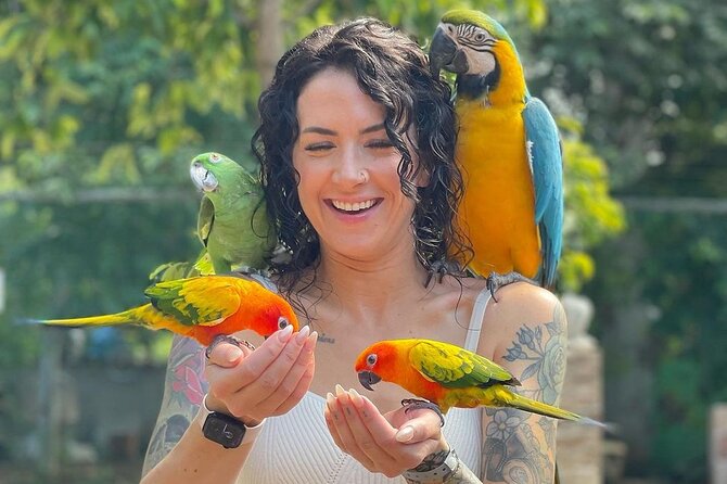 Bird Sanctuary and animal farm Day Tour - Pickup, timing, and how the 3-hour plan really feels