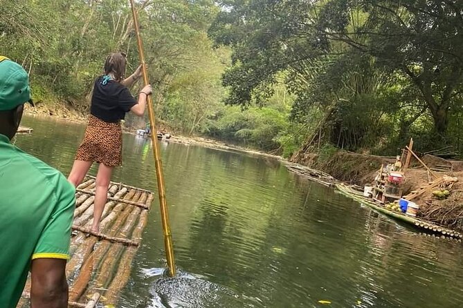 Bird Sanctuary and/or Lethe Bamboo Rafting from Montego Bay - Rocklands Bird Sanctuary: A 1962 birdwatching stop outside Montego Bay