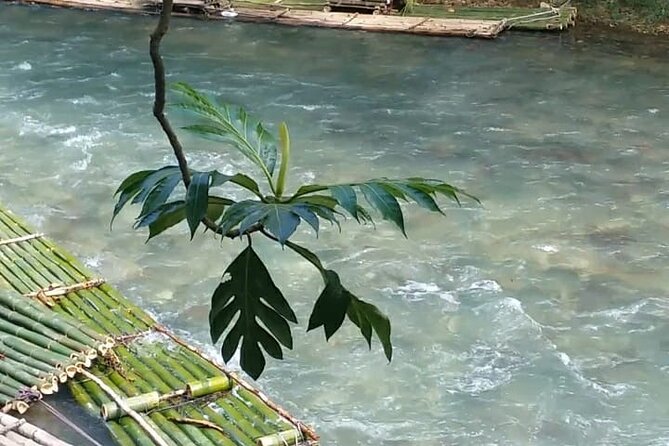 Bird Sanctuary and/or Lethe Bamboo Rafting from Montego Bay - FAQ