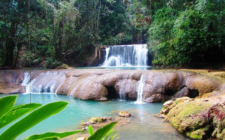Black River Safari and Ys Falls Tour and Transportation - Black River Boat Ride: Friendly Crocs Without the Guesswork