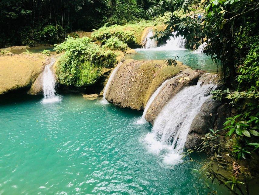 Black River Safari and Ys Falls Tour and Transportation - Who Should Book This Black River and YS Falls Tour