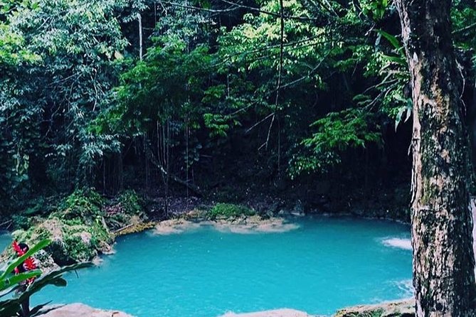 Blue Hole and Dunn's River Falls Tour from Montego Bay - Price, what you really get, and why it can be fair