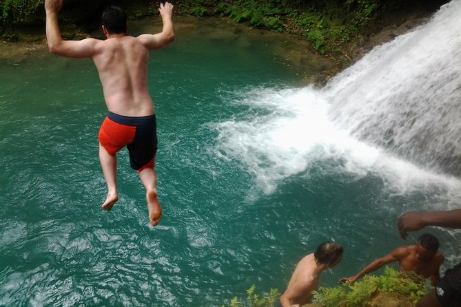 Blue Hole, Dunn's River Falls Luminous Lagoon Excursion From Montego Bay - Key Things To Know Before You Go