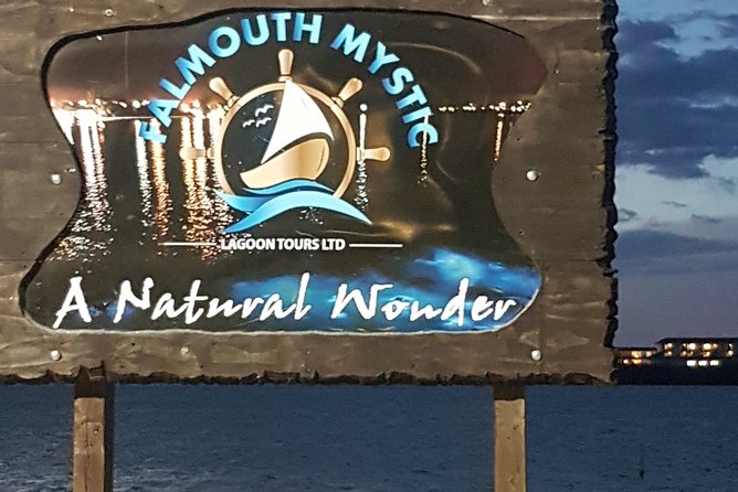 Blue Hole, Dunn's River Falls Luminous Lagoon Excursion From Montego Bay - Luminous Lagoon at Sunset: Bioluminescence on the Martha Brae River
